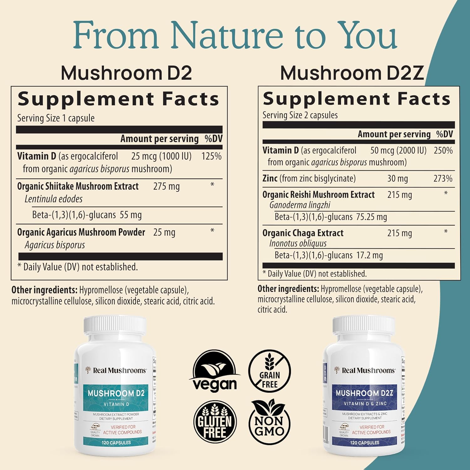 Real Mushrooms Vitamin D2 from Shiitake & Agaricus – Vegan Mushroom-Based D Supplement – Vitamins for Overall Wellness Support– Organic, Non-GMO, 1000 IU – 120 Count Functional Mushroom - Image 4