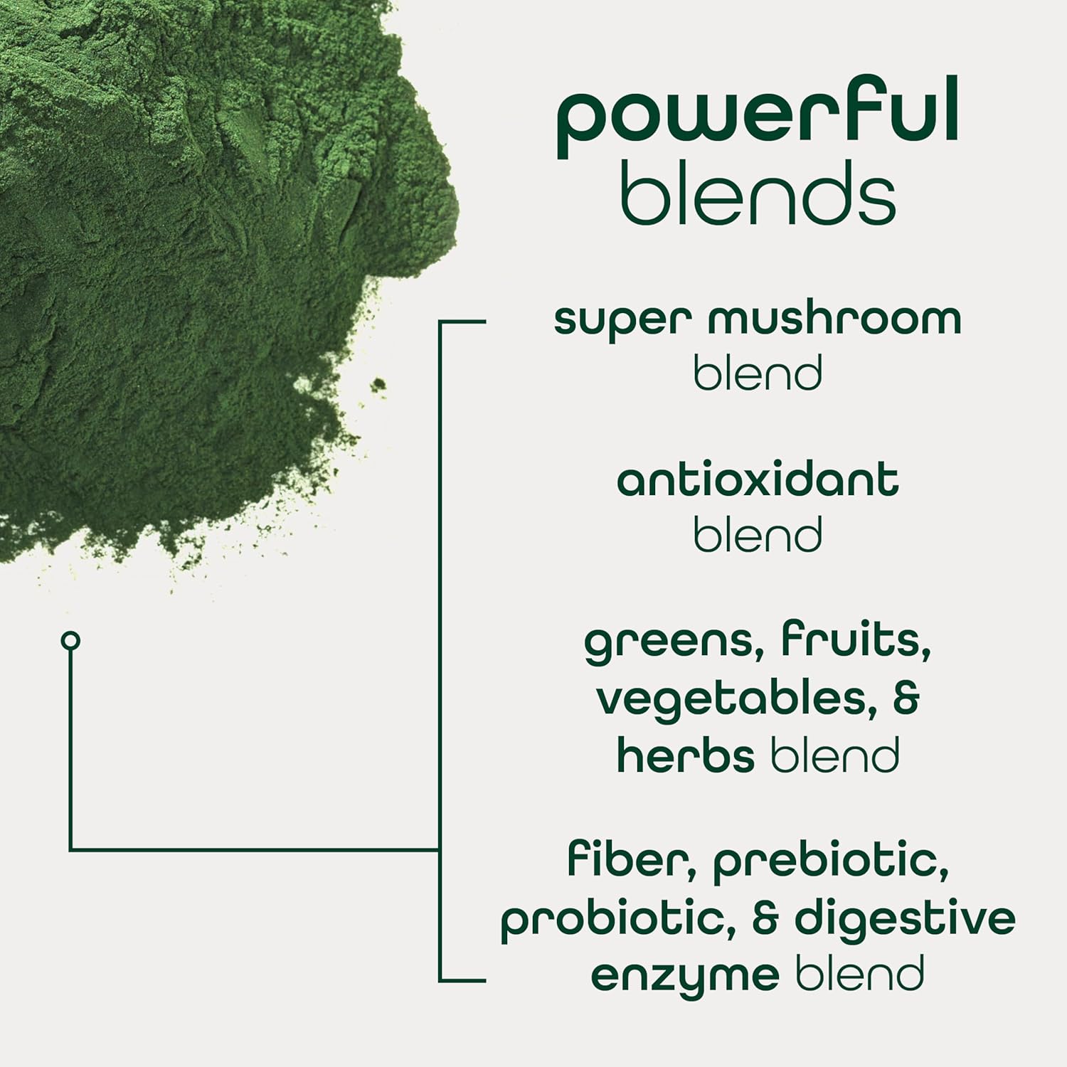 Zena Nutrition Organic Super Greens Powder, 70+ Superfoods, 0 Sugar, 3G Fiber, Spirulina, Chlorella, Mushrooms, Prebiotics/Probiotics, Digestive Enzymes for Gut Health, Mango, 30 Servings - Image 6
