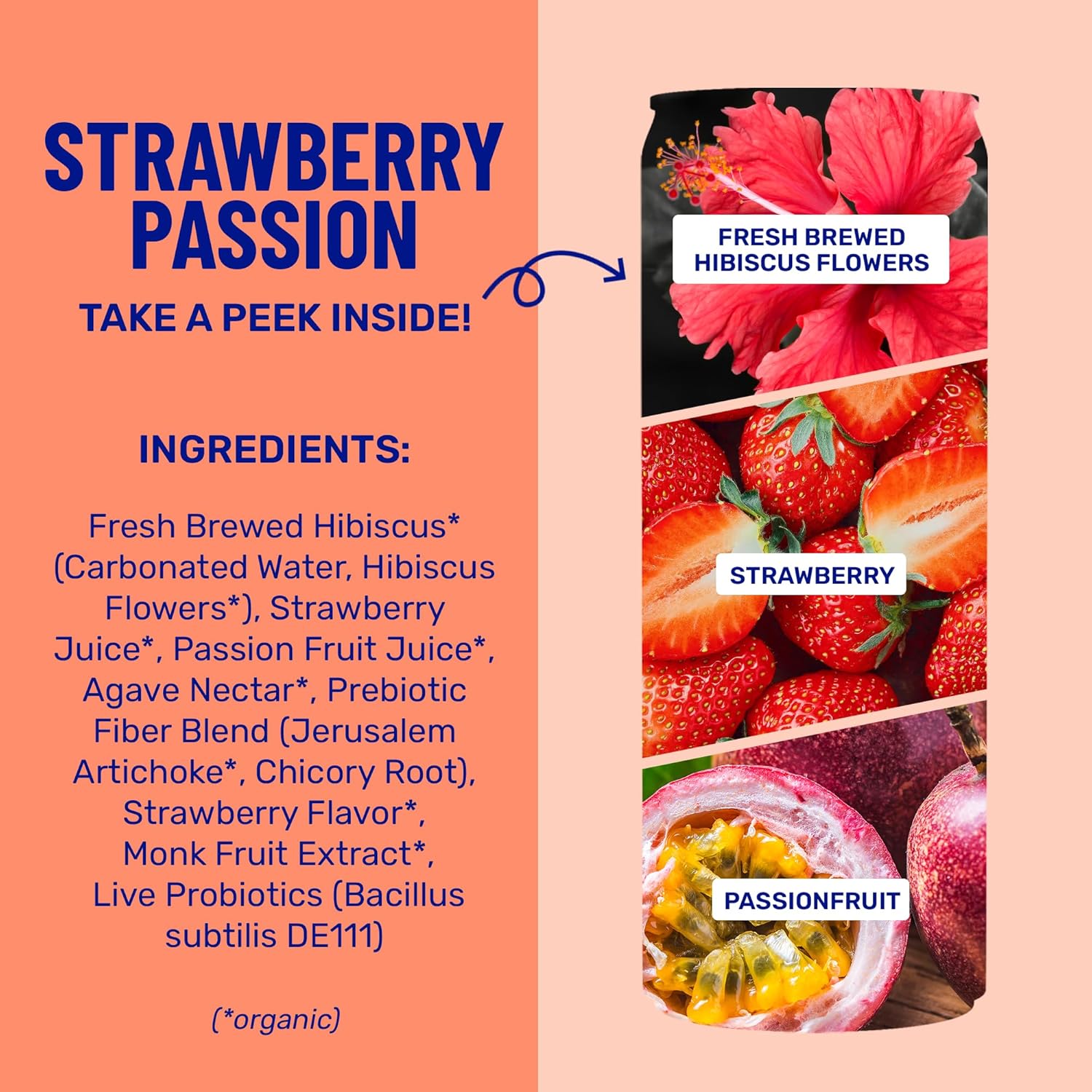 wildwonder Sparkling Probiotic Drink 12pk, For Gut Health & Immune Support, Strawberry Passion, 5g Prebiotic Fiber, Live Probiotics, Organic, Vegan, Low Sugar, 12 Pack, 12oz Can, As Seen on Shark Tank - Image 5