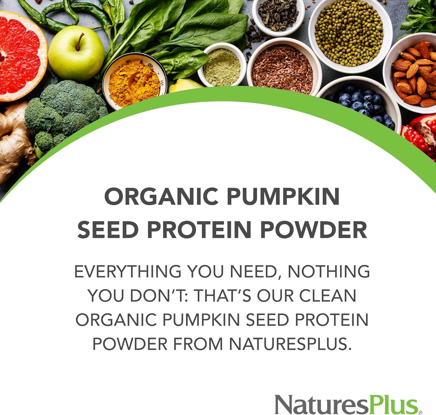 NaturesPlus Organic Pumpkin Seed Protein Powder - 1.1 lb - Plant-Based Drink - Supports Muscle Strength & Recovery - Non-GMO, Allergen Free, Gluten Free, Vegan - No Added Sugar - 15 Servings - Image 3