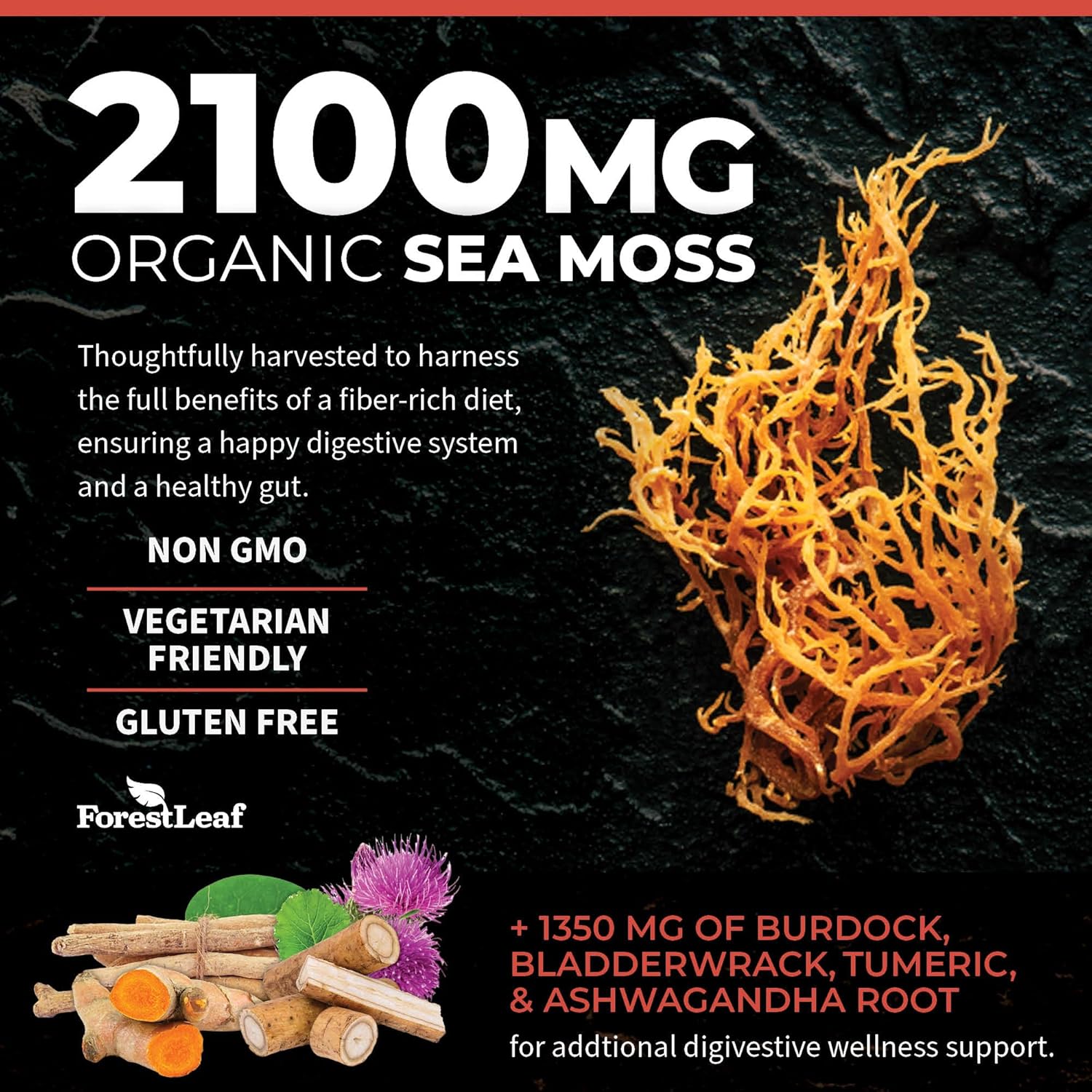 ForestLeaf Organic Irish Sea Moss Capsules | 2100mg Raw Seamoss Pills Advanced Supplement Superfood + Burdock, Bladderwrack for Digestive, Respiratory, Immune Health | 90 Vegan Organic Sea Moss Caps - Image 4