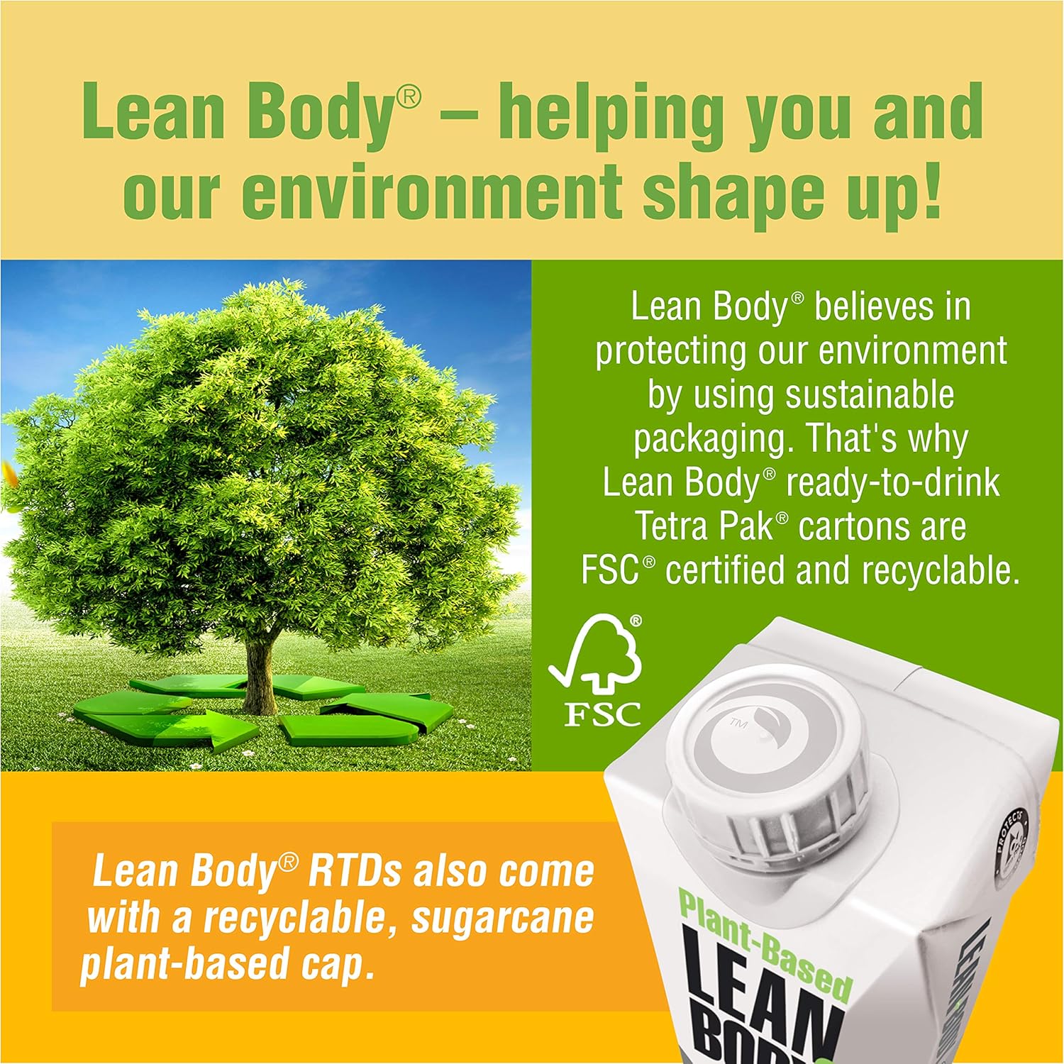 Lean Body Ready-to-Drink, Plant-Based Vegan Vanilla Caramel Protein Shake, 30g Protein, No Artificial Flavors, Sweeteners or Colors, Non GMO, Gluten Free, Premium Pea & Rice Blend (Pack of 12) - Image 4