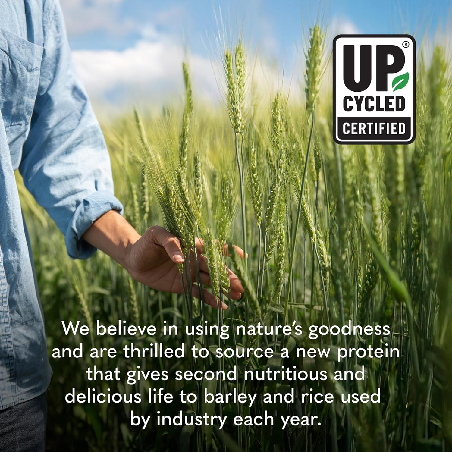Garden of Life Plant-Based Sprouted Barley Protein, Vanilla Caramel with 21g Protein, 0g Sugar & Clean Ingredients, Upcycled Barley, Probiotics, Non-GMO, use in Shakes, Smoothies & Baking, 20 Servings - Image 6