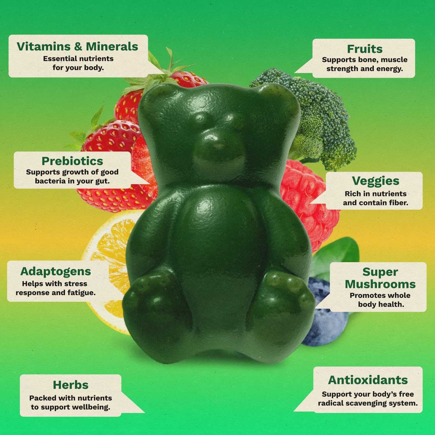Gruns Adult Sugar-Free Super Greens Multivitamin Gummies, Superfood Gummy Vitamins for Women and Men with Spirulina, Chlorella, Adaptogens & Prebiotic Fiber for Digestive Health (28 Count) - Image 2
