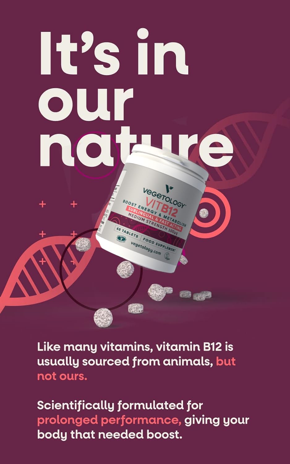 VEGETOLOGY Vegan Vitamin B12 Sublingual Supplement — for Metabolism & Energy, Vitamins & Health Supplements — (60 Tablets) - Image 2