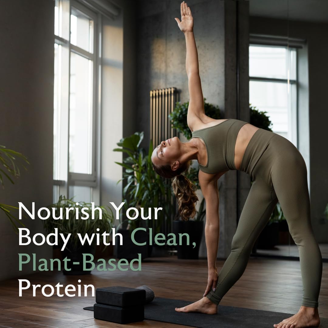 Alaya Naturals Organic Plant Based Protein Powder - Vegan Protein Powder with Pea Protein, Hemp Protein, & Spirulina - Non-GMO, USDA Organic, Vanilla - Image 7