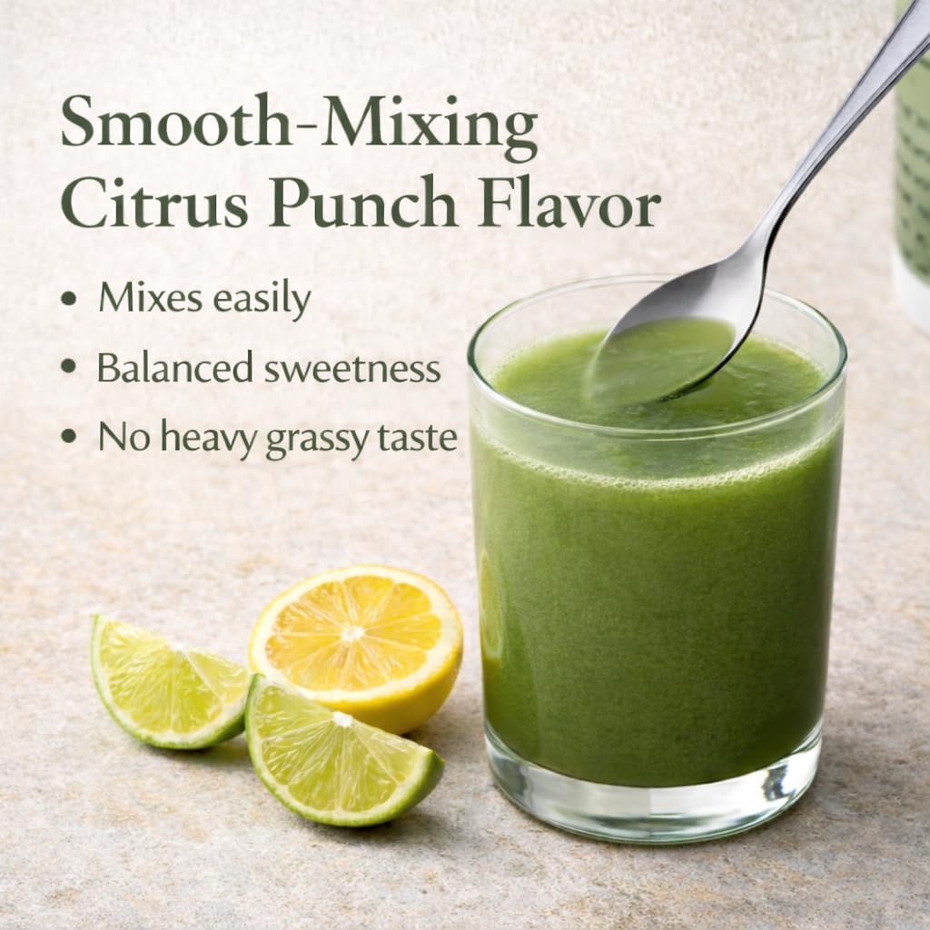 Super Greens Powder - Citrus Punch Flavor - Made with Organic Plant Ingredients, Spirulina, Prebiotic Fiber, Probiotic Culture & Ashwagandha - 28 Servings - Third-Party Tested - Image 5