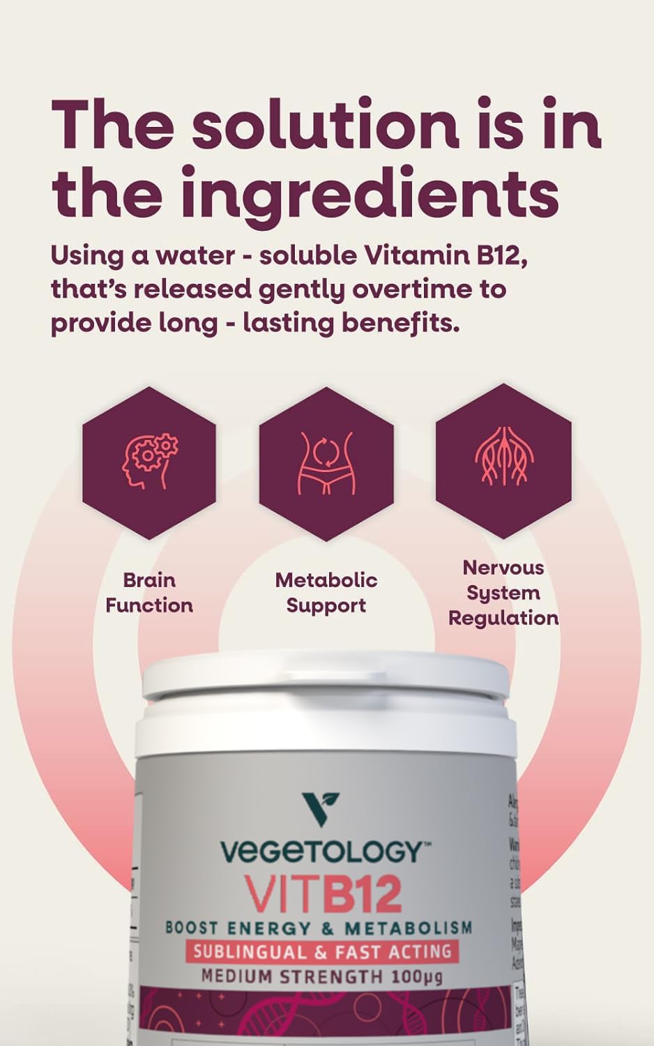 VEGETOLOGY Vegan Vitamin B12 Sublingual Supplement — for Metabolism & Energy, Vitamins & Health Supplements — (60 Tablets) - Image 3