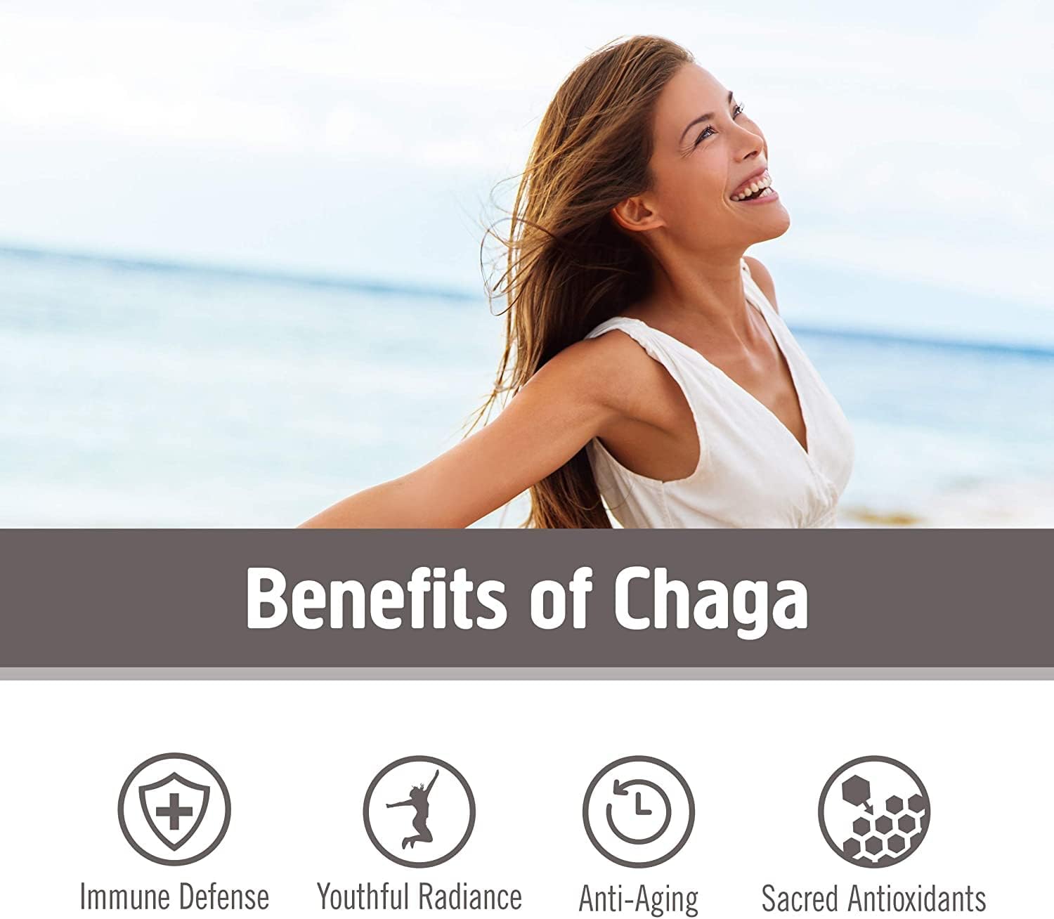 OM MUSHROOM SUPERFOOD Chaga Organic Mushroom Powder, 3.5 Ounce, 50 Servings, US Grown, Sacred Antioxidants & Immune Support, Superfood Mushroom Supplement - Image 3