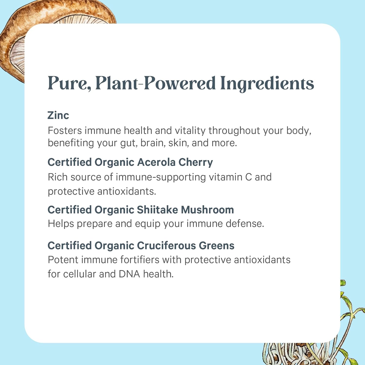 PURE SYNERGY Zinc Complex | Immune Support Supplement | Natural, Vegan Zinc Complex with Vitamin C and Organic Whole Foods | for Immune, Brain, and Skin Health (60 Capsules) - Image 5
