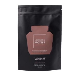 WelleCo Plant-Based Chocolate Prote...