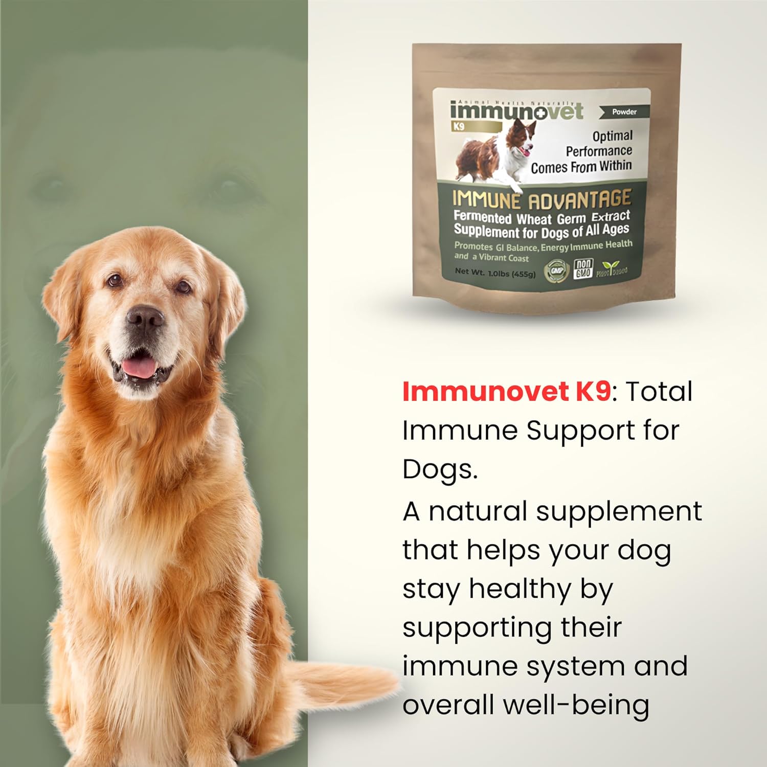 Plant-Based Dog Supplement Powder | Fermented Wheat Germ Extract | Boosts Immunity, Gut Health & Energy | Natural Supplement for Dogs of All Ages | Non-GMO, Vet Trusted, Safe Formula (455g) - Image 3