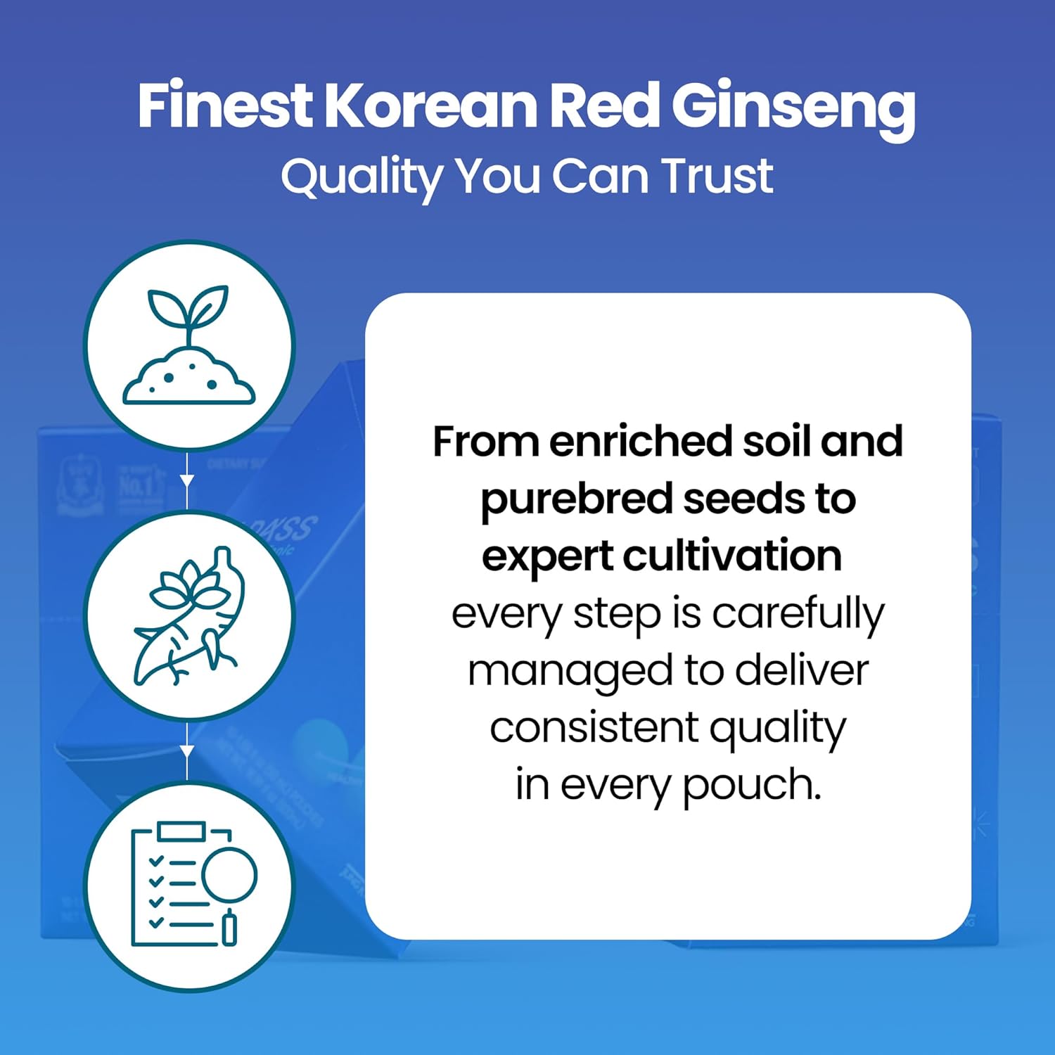 JUNG Kwan Jang iPass Student Tonic - Adaptogen Energy Drink Supplement with Korean Red Ginseng, Jujube, Astragalus & Angelica - Daily Support for School and Activities (30 Pouches, 1.69 fl oz) - Image 4