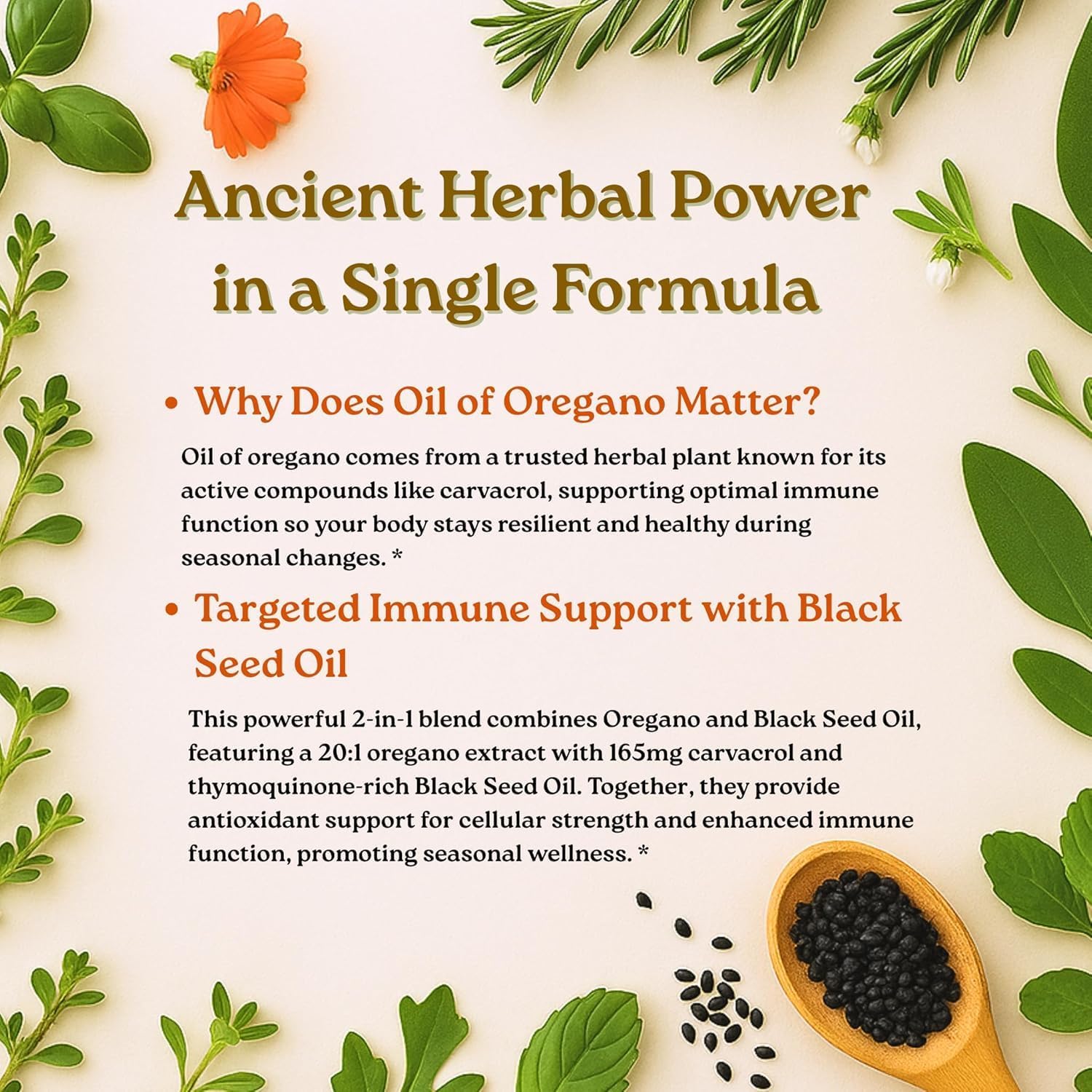 Micro Ingredients Oil of Oregano Softgels, 300 Count | 2 in 1 Formulated with Black Seed Oil | 4X Strength Carvacrol & Thymoquinone | Plant Based, Non-GMO - Image 4