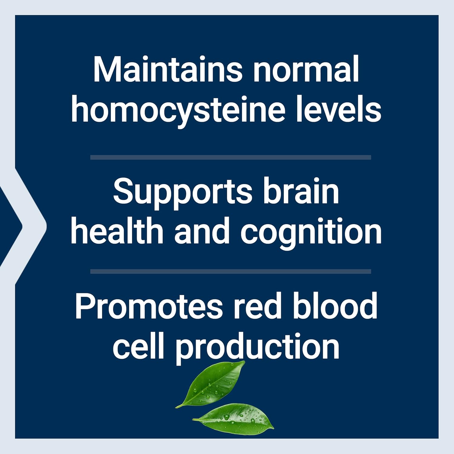 Life Extension Vitamin B12 Methylcobalamin, Nerve Health Supplement, Cognitive Support, Energy Vitamin, methylcobalamin B12, 1 mg, Quick-Dissolving, Vegetarian, 60 lozenges - Image 3