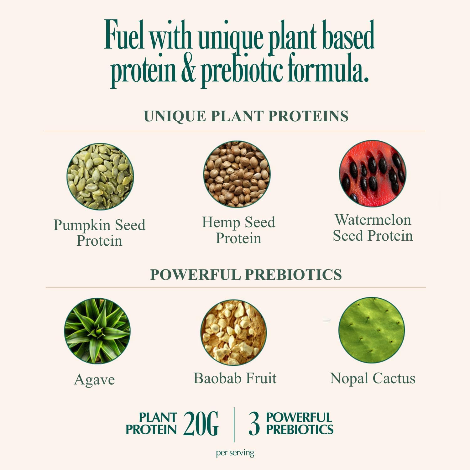 Coolside Vegan Protein Powder, Prebiotic Fiber & Superfoods | Chocolate | 20g Plant Based Protein Powder for Women & Men | Non Whey | Dairy Free | No Artificial Sweeteners | Gluten Free | 15 Serv - Image 4