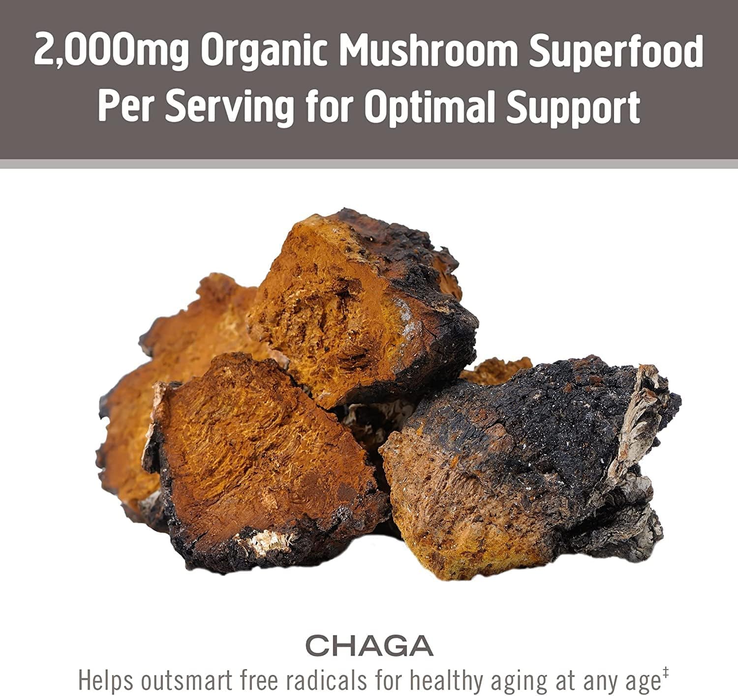 OM MUSHROOM SUPERFOOD Chaga Organic Mushroom Powder, 3.5 Ounce, 50 Servings, US Grown, Sacred Antioxidants & Immune Support, Superfood Mushroom Supplement - Image 6