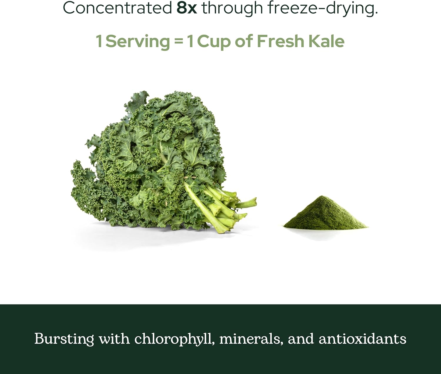 Eclectic Herb - Organic Kale Powder Supplement | Nutritional Support, Daily Fiber, Vitamins + Minerals | Superfood Powder + Daily Greens Drink Mix | USDA Organic, Non-GMO, Vegan (3.2 oz | 90 g) - Image 8