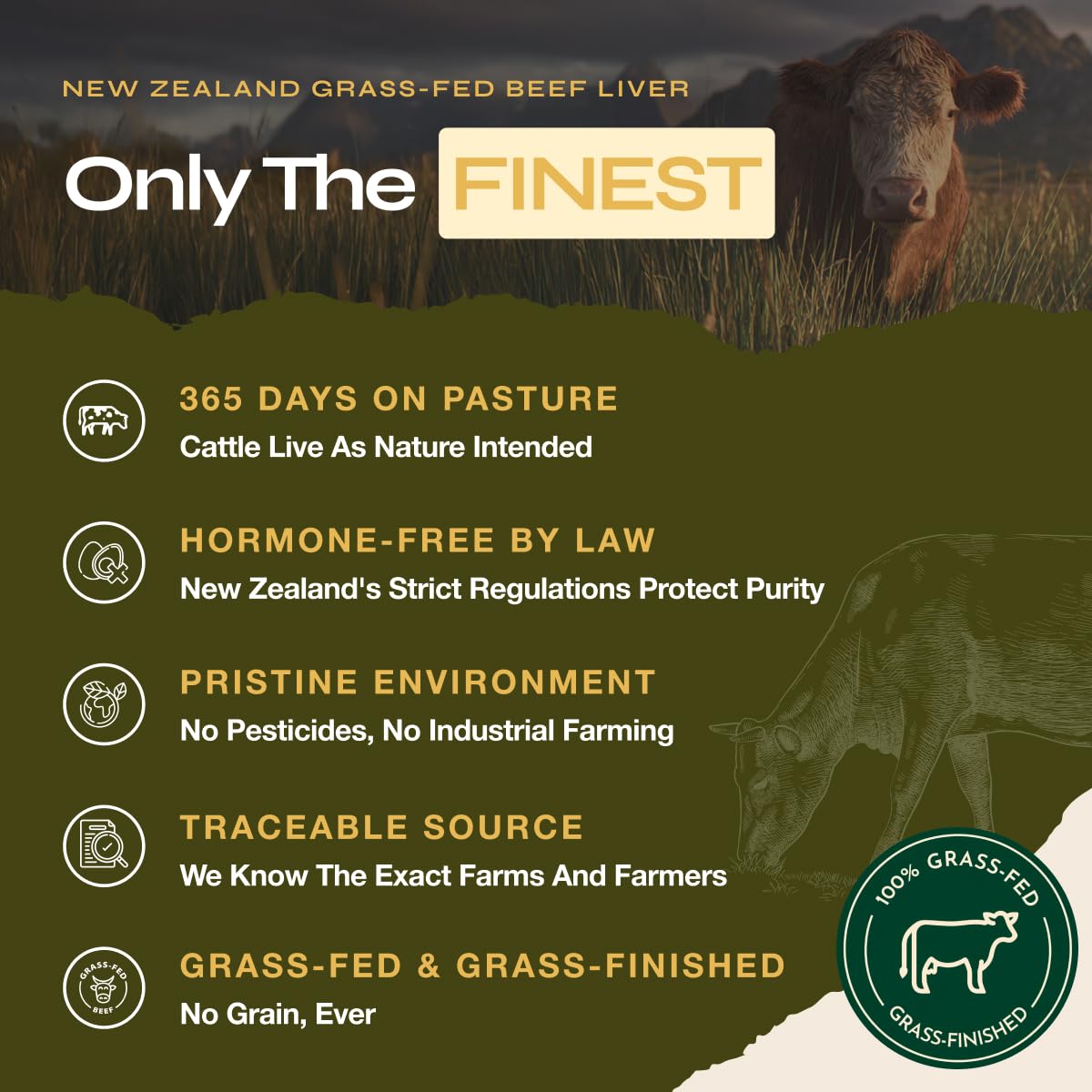 Primal Power Beef Liver Bar 1100mg - New Zealand Grass-Fed, 211% DV B12, 10g Protein Collagen - Zero Added Sugar, No Seed Oils, Gluten Free - Chocolate Peanut Butter (12 Pack) - Image 6