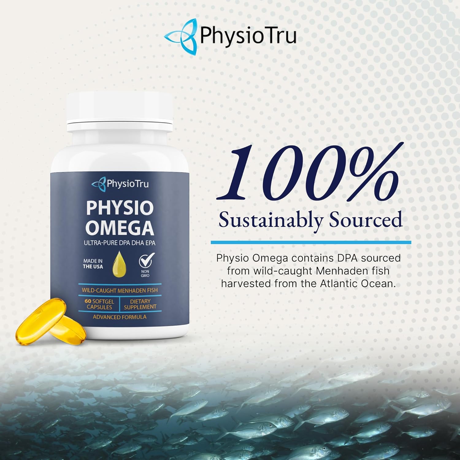 Physio Omega 2400mg Fish Oil with Omega 3 Fatty Acid Supplement - Vascular & Cognitive Supplements for Adults - Non-GMO, Burpless, Light Citrus Flavor, Sustainably Sourced - 1 Pack, 60 Softgels - Image 7