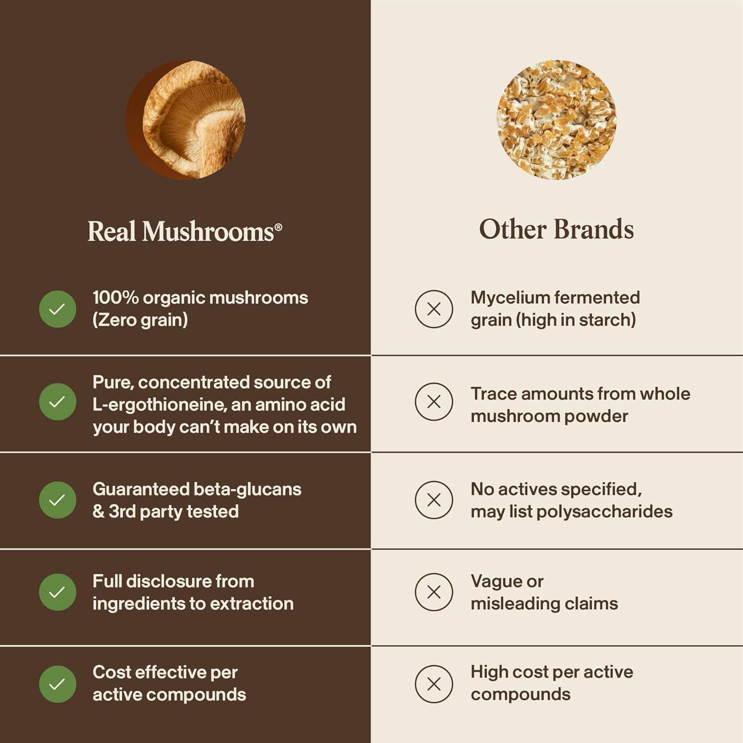 Real Mushrooms Ergothioneine Supplement – Golden Oyster Mushroom with Beta-Glucans – L-Ergothienine Extract Poweder – Organic, Vegan, Non-GMO, No Fillers – 60 Capsules Mushroom Supplement for Humans - Image 7