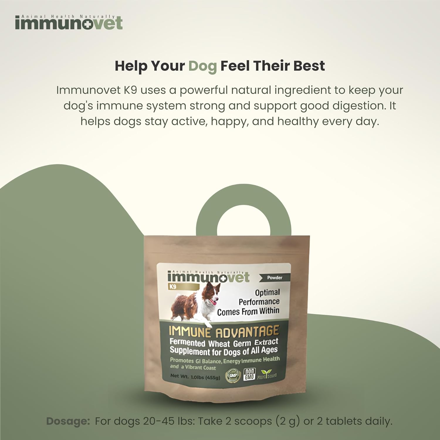 Plant-Based Dog Supplement Powder | Fermented Wheat Germ Extract | Boosts Immunity, Gut Health & Energy | Natural Supplement for Dogs of All Ages | Non-GMO, Vet Trusted, Safe Formula (455g) - Image 2