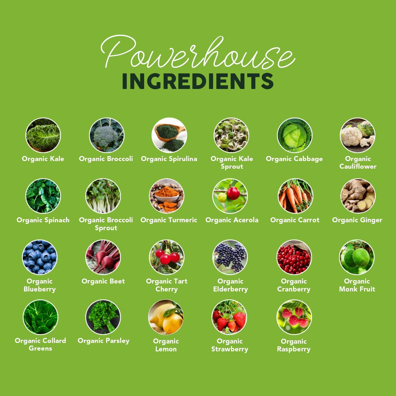 Paleovalley Organic Supergreens Powder - 23 Superfoods with Prebiotic Fiber for Energy and Immunity Support - No Cereal Grasses for Maximum Absorption - Pure Unflavored, 30 Servings - Image 6