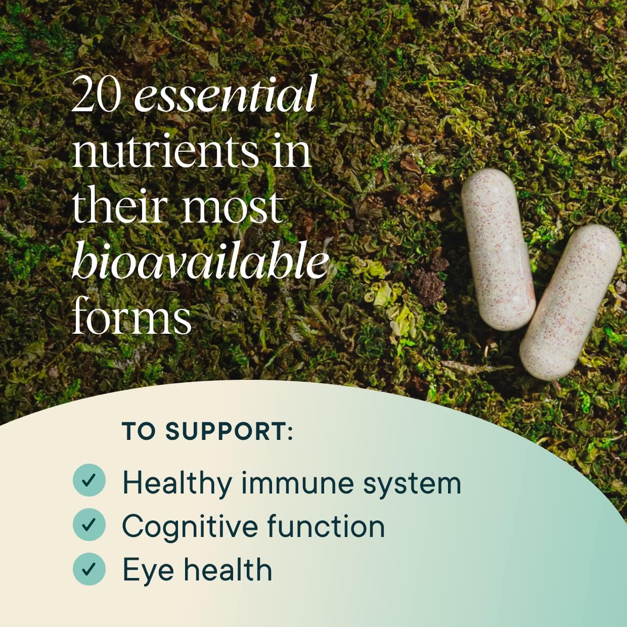 Ora Organic Plant Based Multivitamin for Women and Men, Bluelight Protection - Brain, Eye, Energy, Immune, Skin, Hair, Heart, and Bone Health Support, 60 Vegan Capsules - Image 7