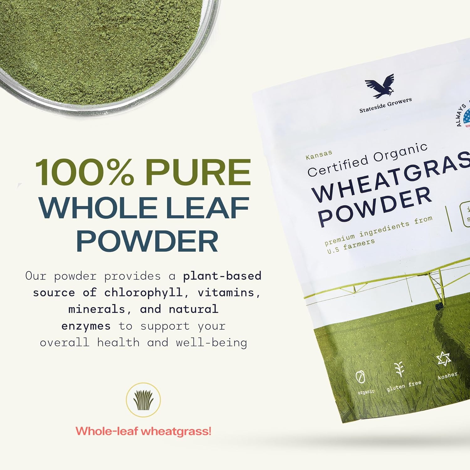 Organic Wheatgrass Powder - 100% Whole-Leaf Powder for Energy, Detox & Immunity Support - Rich in Immune Vitamins, Fibers, and Minerals - Vegan-Friendly, Raw & Gluten-Free (8 Ounce) - Image 2