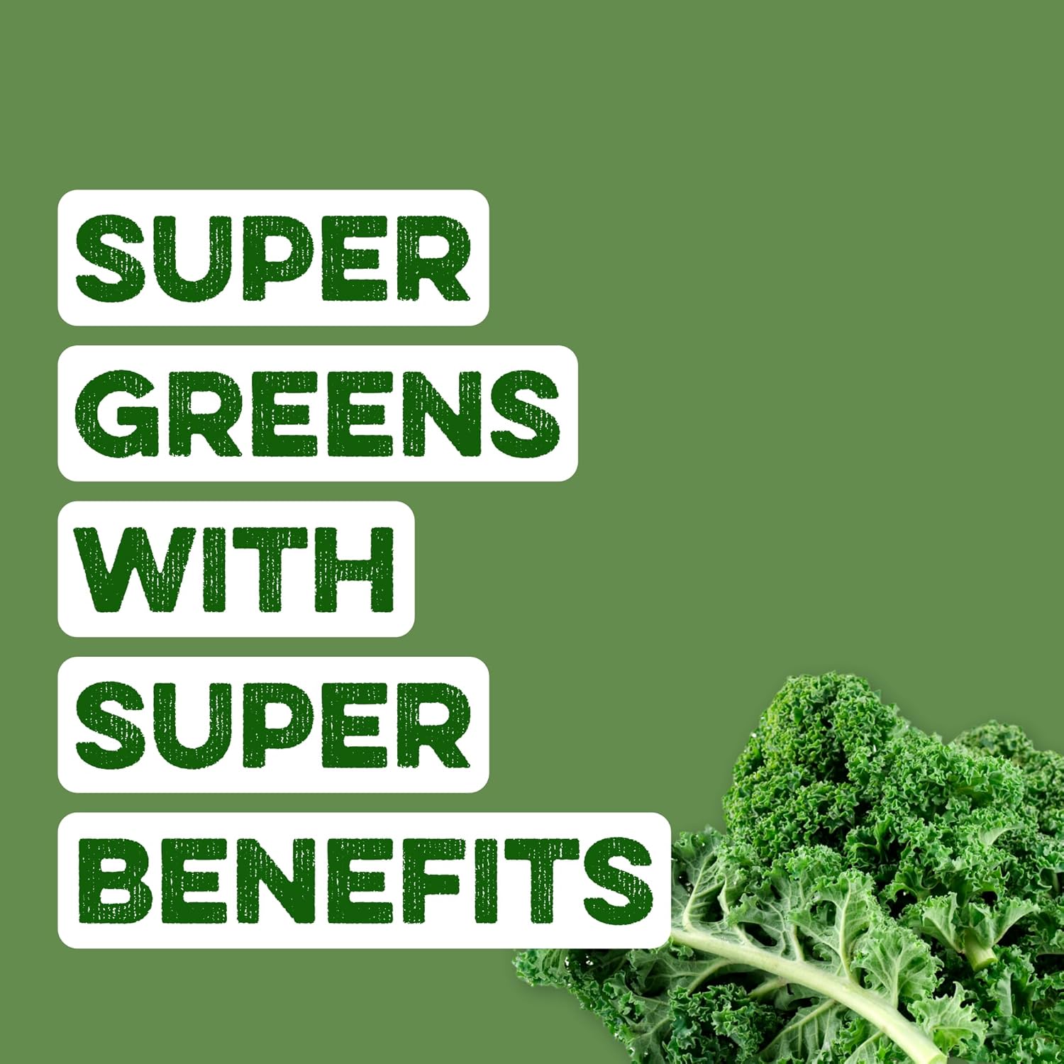 Clean Simple Eats Super Greens Powder, Naturally Flavored Greens Powder with Chlorella, Spirulina, Superfoods & Prebiotic Fiber, No Artificial Ingredients, Gluten Free, Classic Greens Flavor, 30 Srvgs - Image 3