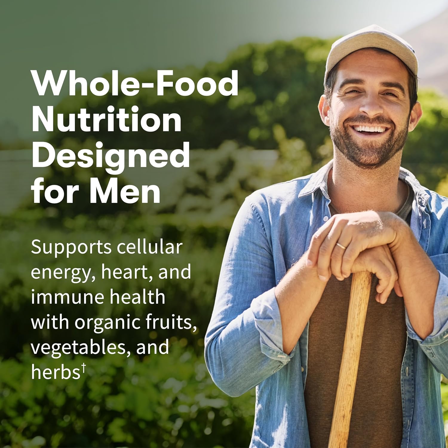 Garden of Life Once Daily Whole Food Multivitamin for Men, Organic Mens Vitamins & Minerals, Vitamin C, Zinc, Vegan, for Health & Well-Being, 60 Tablets - Image 2
