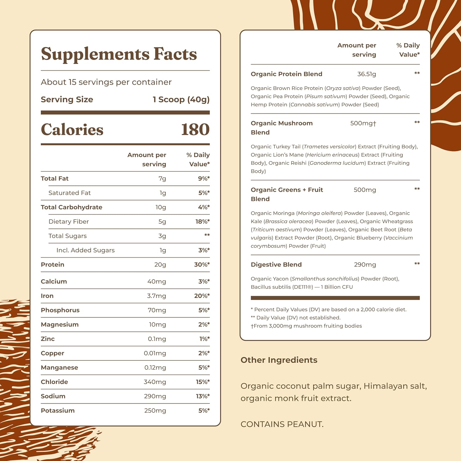 Four Sigmatic Organic Plant-Based Protein Powder | Clean Vegan Protein Elevated with Lion’s Mane, Chaga, Cordyceps and More for Brain Function and Immune Support | Peanut Butter, 21.16 oz - Image 3