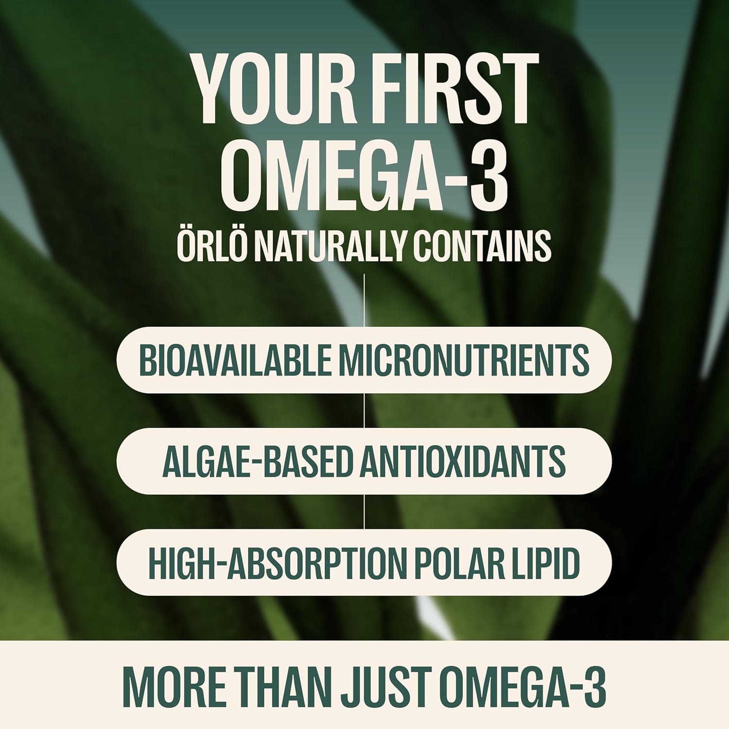 Orlo Vegan Omega 3 Algae Oil 1000mg - Natural Icelandic Nordic Omega-3 EPA & DHA Supplement - Fish Oil & Krill Alternative for Heart & Brain – 60 Easy-to-Swallow Burpless Mini Softgels - Image 6