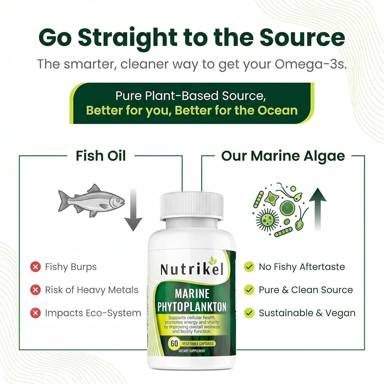 Marine Phytoplankton Omega 3 Supplement – Plant-Based Algae Capsules for Energy, Focus & Cellular Support – Vegan Superfood for Brain, Heart & Skin Health – 1,000mg – 60 Vegan Capsules - Image 4