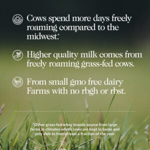 NAKED Vanilla Whey Protein 1Lb, Onl...