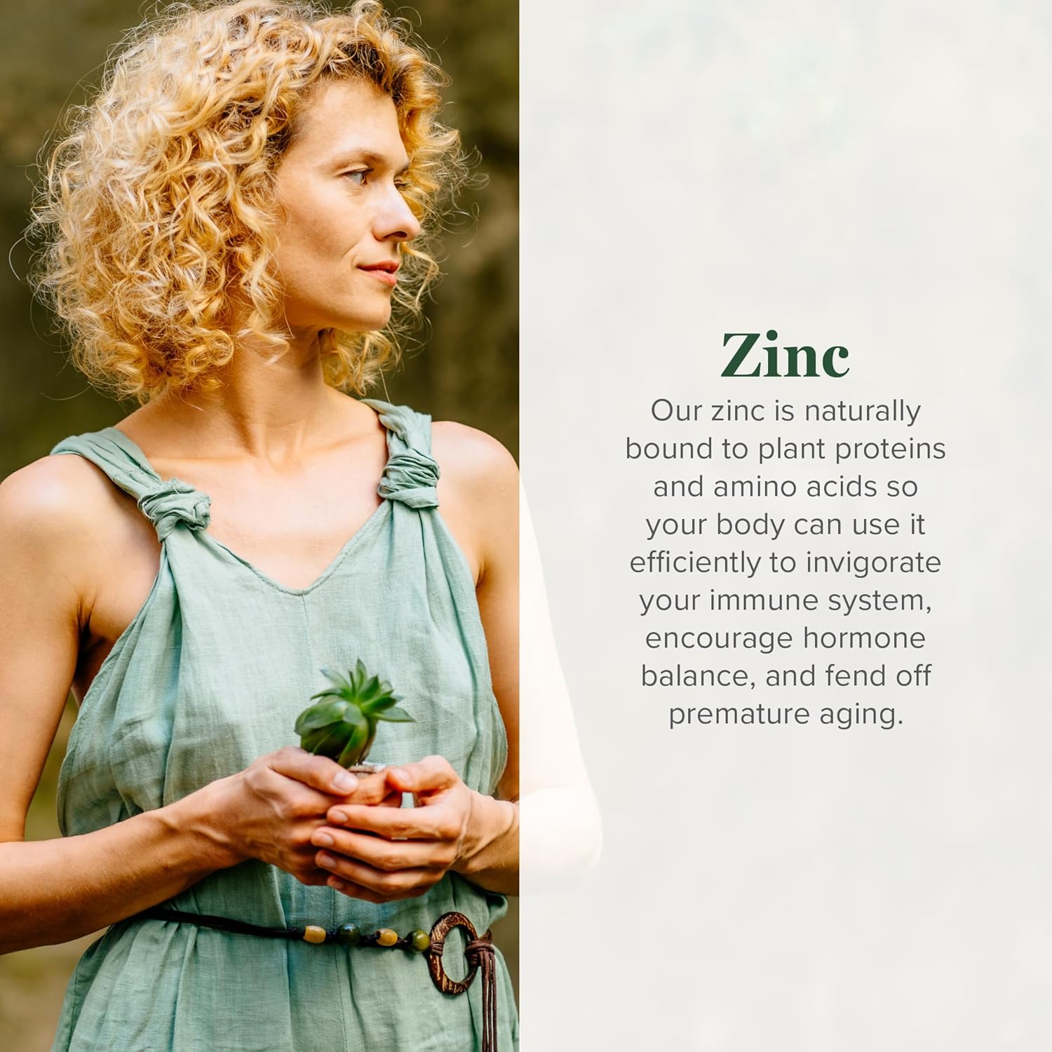 Global Healing USDA Organic Zinc Supplements Liquid - Pure Vitamin Drops for Immune System Boost, Hormone Balance, and Healthy Aging - Natural, Vegan-Friendly, Non-GMO, Organic Zinc Vitamins (2 Fl Oz) - Image 2