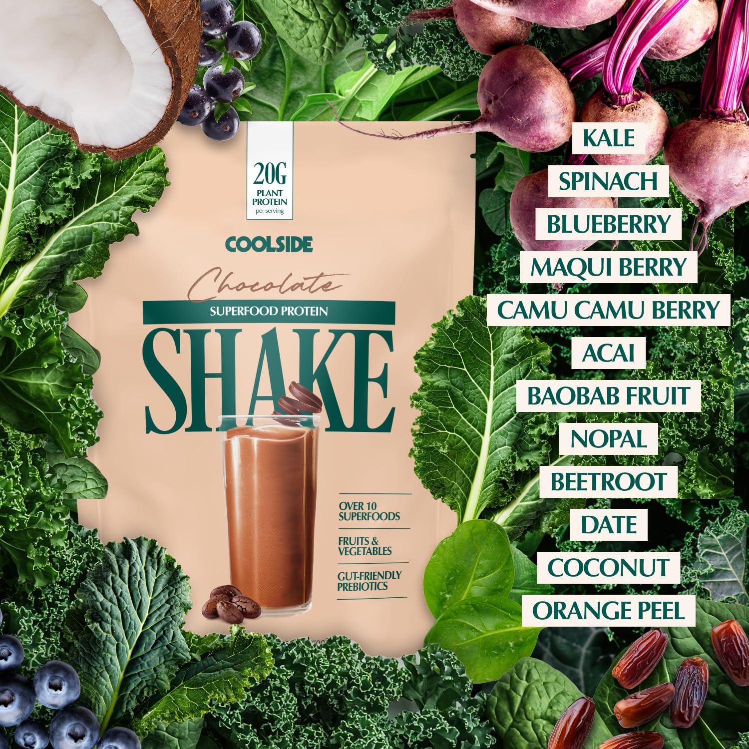 Coolside Vegan Protein Powder, Prebiotic Fiber & Superfoods | Chocolate | 20g Plant Based Protein Powder for Women & Men | Non Whey | Dairy Free | No Artificial Sweeteners | Gluten Free | 15 Serv - Image 2