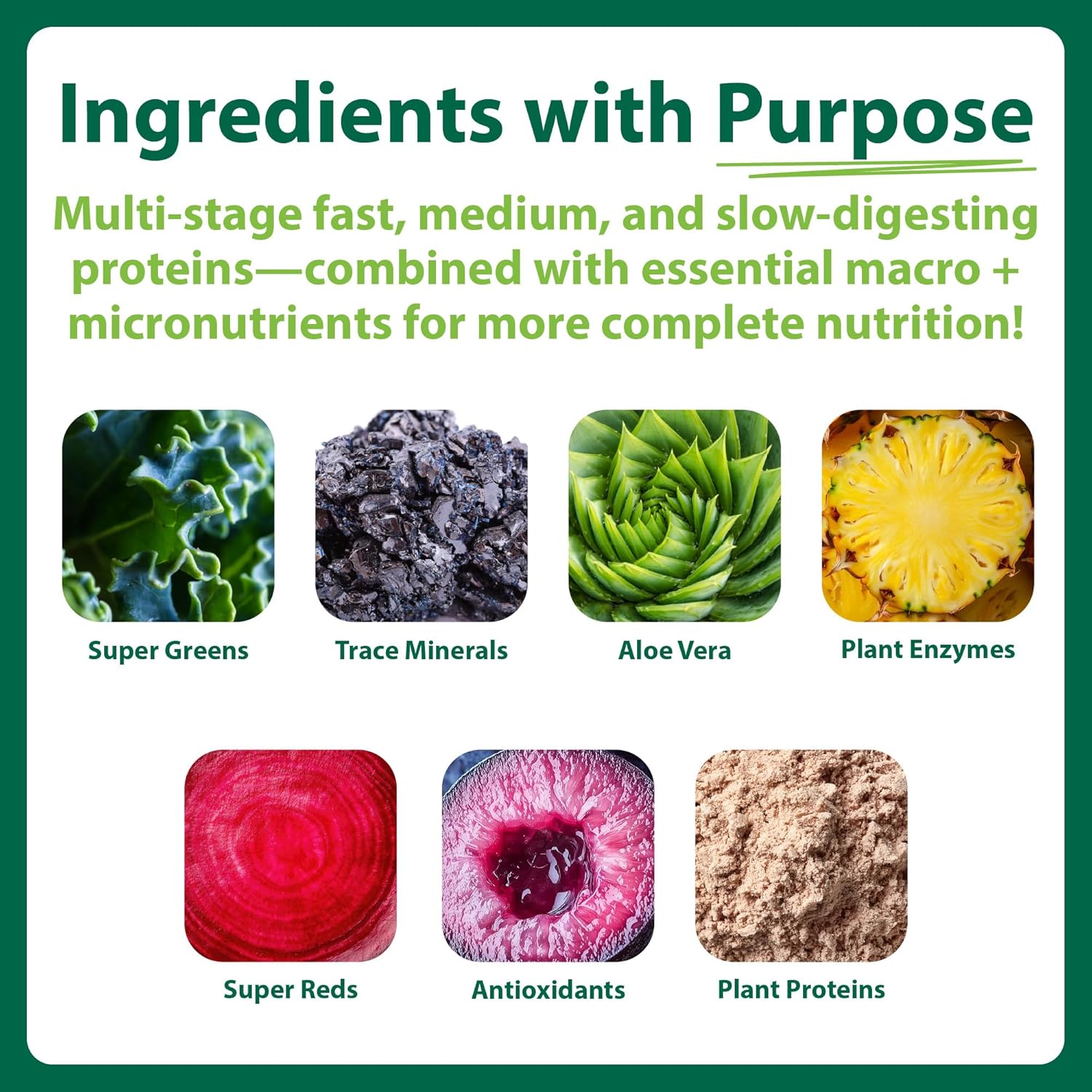 MacroLife Naturals MacroMeal Chocolate Vegan Protein Powder 25g + Superfood Greens 3 Billion Probiotics & Fiber for Lasting Energy - Plant Based Shake & Smoothie Mix Non-GMO, Gluten-Free - 15 Servings - Image 2