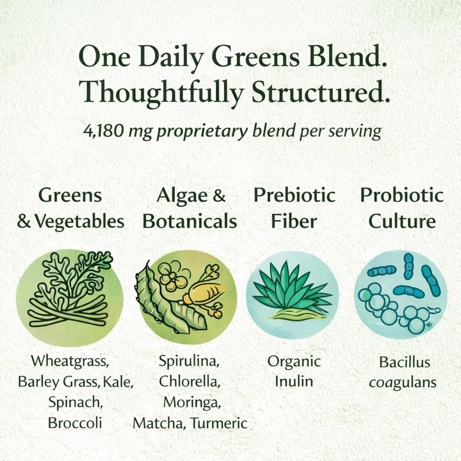 Super Greens Powder - Citrus Punch Flavor - Made with Organic Plant Ingredients, Spirulina, Prebiotic Fiber, Probiotic Culture & Ashwagandha - 28 Servings - Third-Party Tested - Image 4