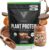 VEDGE Vegan Protein Powder – Plant Protein Powder with Pea, Pumpkin & Sunflower – USDA Organic, Amino Acids, Dairy Free, Gluten Free, Soy Free, Keto, Non GMO – Peanut Butter Cup – 20 Servings