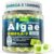 Vegan Omega-3 Gummies for Adults, Fish Oil Alternative from Algae Oil, Plant Based DHA 460mg & EPA 230mg Plus MethylFolate, Vitamin B12, Phosphatidylserine, No Fishy Taste, Vegan, Sugar Free, 60 Cts
