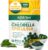 Sunlit Best Chlorella Spirulina Tablets – Organic USDA, Premium Spirulina and Chlorella Tablets 1000 Count – Sun Chlorella Pure Natural Superfood with Algae, Enzymes Chlorophyll & Vegan Protein