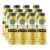 Remedy Organics Golden Mind 12-Pack | Plant Based Protein Shakes, Ready to Drink | USDA Organic, Gluten Free, Dairy Free, Soy Free